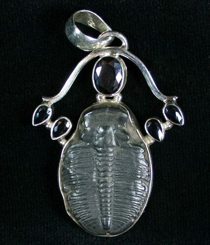 Sterling Silver Elrathia Trilobite Pendant #7043